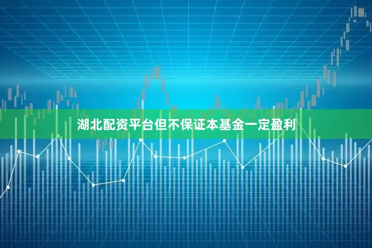 湖北配资平台但不保证本基金一定盈利